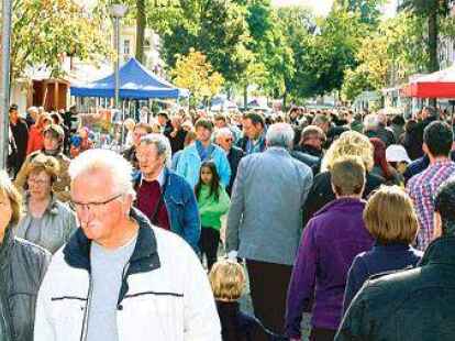 Hochbetrieb herrschte am Sonntag in der Wildeshauser Innenstadt. Das sonnige Herbstwetter und die zahlreichen Angebote der Gesch&auml;ftswelt lockte viele Besucher. Kleines Bild unten: Thea (9) im &bdquo;Jump Star&ldquo; auf dem Gildeplatz.