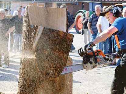 Kunst mit Kettens&auml;ge: Bernhard Orths aus Sanderahm hat ein nicht allt&auml;gliche Vorgehensweise, um aus klobigen Holzst&auml;mmen Kunstobjekte herzustellen.
