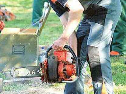 Viel Kleinholz: Beim S&auml;gefest wird&rsquo;s laut und staubig.