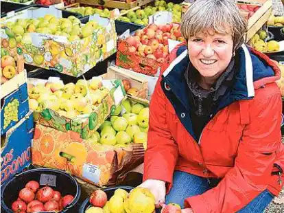 Hilke Gnadt (Fachbereich Umwelt) hat mit B&uuml;rgerarbeitern &Auml;pfel an den st&auml;dtischen Streuobstwiesen gesamm