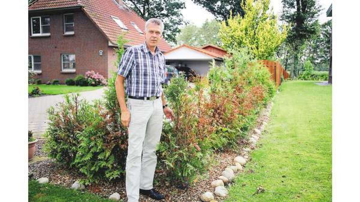 Roundup gegen Thuja-Hecke