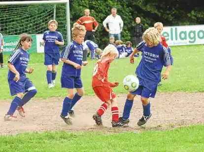 Kampf um den Ball: Die F-Junioren des FC Hude (blaue Trikots) und des VfR Wardenburg (rote Trikots)