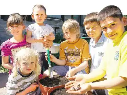 Bei der Gartenarbeit (von rechts): Hassan Baghal, Paul Feus, Aleks Hammerstein, Yasmin Scheermann, Sarah Scheermann und Miriam Hammerstein hoffen, dass ihre Feuerbohnen pr&auml;chtig gedeihen.