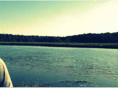 Doch nicht nur unsere N@chbarn waren unterwegs. Auch eine Buddha-Statue begab sich auf eine Fotoreise. Mehr Bilder finden sie auf mein-oldenburg.de, in dem Album der Zen-Gruppe Oldenburg.