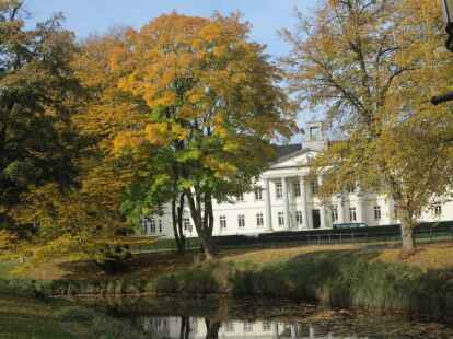 So setzt sich auch das Oldenburger PFL gut in Szene. Umrahmt von den bunten Bl&auml;ttern der B&auml;ume und angestrahlt von der Sonne, hat es einen leichten Bilderbuchcharakter.