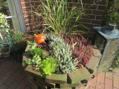 Doch auch K&uuml;rbisse und Heide pr&auml;gen das herbstliche Bild  vieler G&auml;rten im Nordwesten. Und bei Sonnenschein ist es doch einfach,  die herbstliche Jahreszeit zu genie&szlig;en.