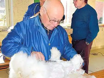 G&uuml;nter Mahrt aus Schleswig-Holstein bevorzugt beim Scheren noch oft die Handschere. &bdquo;Da gibt es wenigstens keine technischen Probleme&ldquo;, meint er.