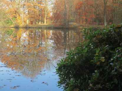 Dort sieht man die Farben des Herbstes gleich doppelt.