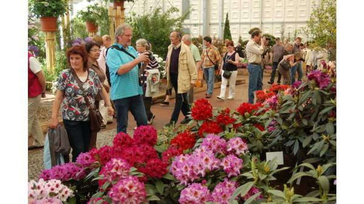 Rhodo in Westerstede endet mit Besucherrekord