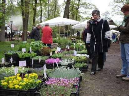 Cloppenburg Gartenpartie im Museumsdorf