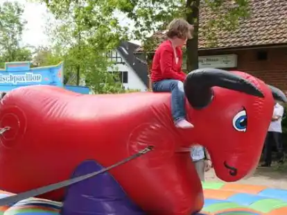 365 Kinder nahmen an dem Spieleprogramm teil. Im Anschluss gab es die Kinderk&ouml;nigs-Kr&ouml;nung.