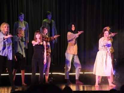 Sch&ouml;ne Stimmen: Die Musical-Nacht begeisterte am Sonnabendabend im Westersteder Gymnasium. Bilder: Frank Jacob