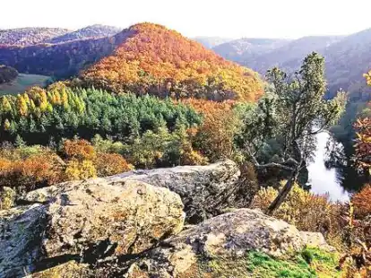 Buntes Herbstlaub an den H&auml;ngen: Im Norden des Waldviertels wird schnell klar, woher die Region ihren Namen hat (oben).   &ndash;  Eine nie eroberte Festung: Rappottenstein liegt in der N&auml;he von Zwettl im Waldviertel.