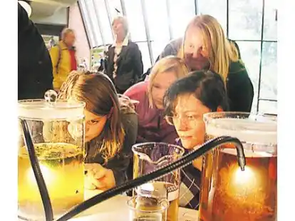 Bei genauem Hinsehen entdeckten die Besucher eine Vielzahl von Pflanzen und Leben.