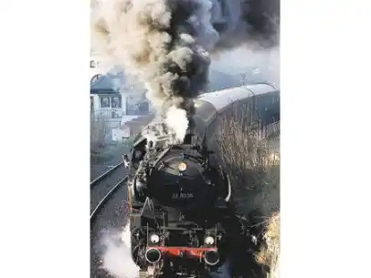 Die von einer alten Reichsbahn-Lokomotive gezogenen Wagen locken Ausfl&uuml;gler aus Nah und Fern.