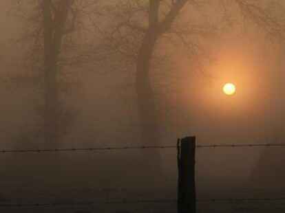 Im Februar hat die Sonne gerade so die Kraft, durch eine dicke Nebelschicht zu scheinen.