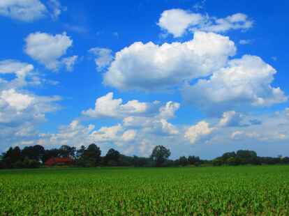 Im Juni sind Schnee und Nebel verschwunden, der Himmel kr&auml;ftig blau und schier endlos...