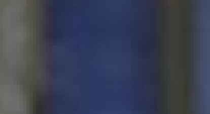 Verliehen die begehrte Troph&auml;e: die Schauspieler Sylvester Stallone (links) und Arnold Schwarzenegger.