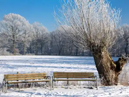 Im Sommer nehmen hier Spazierg&auml;nger kurz Platz, um die Natur rund um den Bornhorster See zu genie&szlig;en. Vor einer Woche war es hier menschenleer.