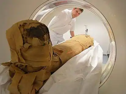 Tierarzt Tjardo Lindena bereitet die Mumie des &auml;gyptischen Priester Harsiese aus dem 4. Jahrhundert vor Christus zur Untersuchung im Computertomographen (CT) der Kleintierklinik in Bremen vor.
