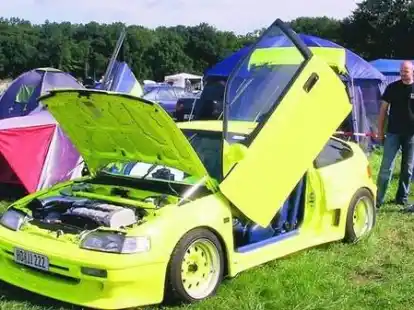 Hingucker waren viele der ausgestellten Autos.