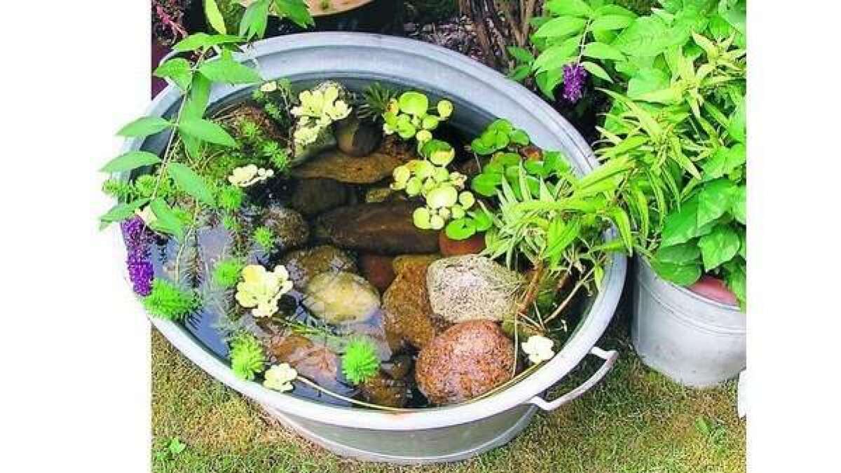 Wasserschlauch frisst Mcken