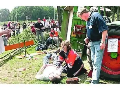 Professionalit&auml;t, Umsicht und gro&szlig;e Einsatzst&auml;rke demonstrierten die MHD-Helfer bei der Bew&auml;ltigung simulierter Notsituationen.