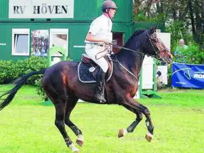 Konzentriert reitet Lokalmatador Heinz-Hermann Decker ein Hindernis an. Es zahlte sich aus, denn er landete im Vorderfeld.  BILDER (4): MICHAEL HEINEN