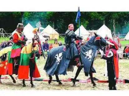 Gut gegen B&ouml;se: Das gro&szlig;e Ritterturnier war ein H&ouml;hepunkt beim &bdquo;Mittelalterlich Spektakulum&ldquo; im Rasteder Schlosspark. 16 verschiedene Gaukler, Barden, Zauberer und Rittergruppen unterhielten die zahlreichen Besucher.  BILDER (2): MATTHIAS EICHLER