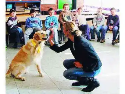 Die Grundschulkinder m&uuml;ssen sich im Unterricht melden. Schulhund &bdquo;Floyd&ldquo; kann das auch.