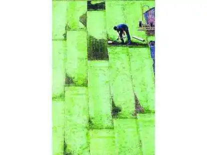 Rasenpflege ist Vertrauenssache: Ein Stadionarbeiter gl&auml;ttet den frisch ausgelegten Rollrasen in der Hamburger AOL-Arena.