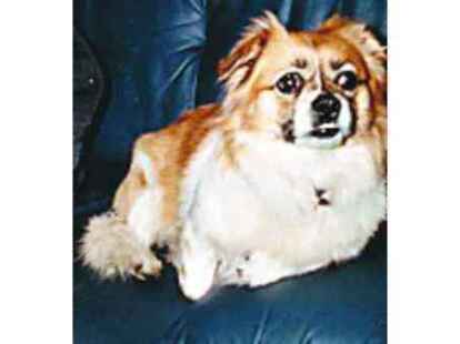 &bdquo;Princess&ldquo; verschwand am Waffenplatz