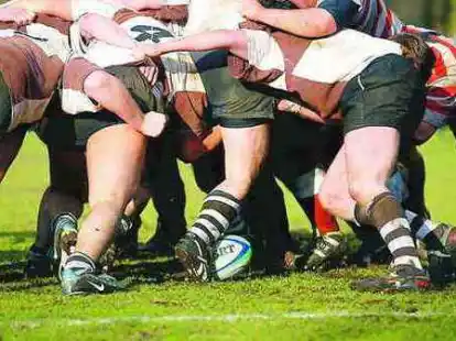 Schieben und Zerren: Zweimal 15 Spieler bem&uuml;hen sich im Rugby um den Ball. Am Sonnabend wird im Vareler Waldstadion das deutsche Pokal-Endspiel zwischen Hannover und Handschuhsheim ausgetragen. Der SC Varel erhielt die Ausrichtung zum 80-j&auml;hrigen Bestehen.