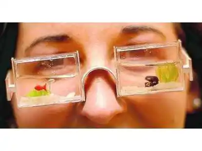 Kreativit&auml;t kennt keine Grenzen: Ob der Durchblick bei dieser eingereichten Arbeit gew&auml;hrleistet ist, wollte Beate Morawietz so nicht best&auml;tigen.  Aber als witzige Idee zum Thema Wasserwelten fand die Brille bei allen gro&szlig;en Anklang.