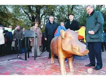 Da ist er endlich: Gerhard Br&uuml;ning, Hans-G&uuml;nther Zemke und Dietmar Sch&uuml;tz (v. l.) enth&uuml;llten den Eber auf dem Marktplatz.