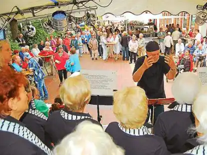 Unterhielten die Stra&szlig;enfest-G&auml;ste am Sonntagmittag: Die Delme Shanty Singers