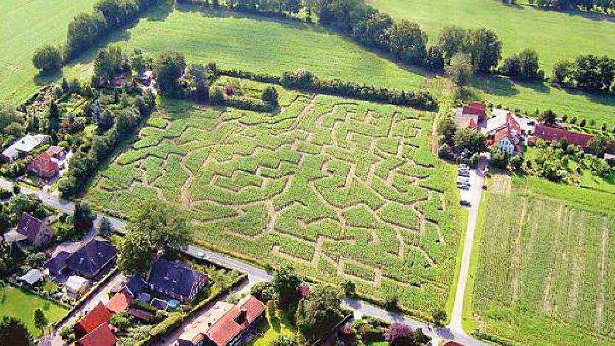 Großer Irrgarten mit verzwickten Gängen
