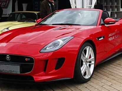 Die &Auml;hnlichkeit zu seinem tierischen Original ist bei diesem Jaguar   nicht sehr gro&szlig;, aber ein Gesicht l&auml;sst sich trotzdem leicht erkennen.