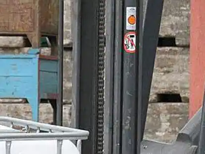 Einmal so tun als ob: Die Kinder durften &ndash; nat&uuml;rlich unter Aufsicht &ndash; sogar auf einen Gabelstapler klettern und das Lenkrad in die Hand nehmen. Aber mehr ging nicht.