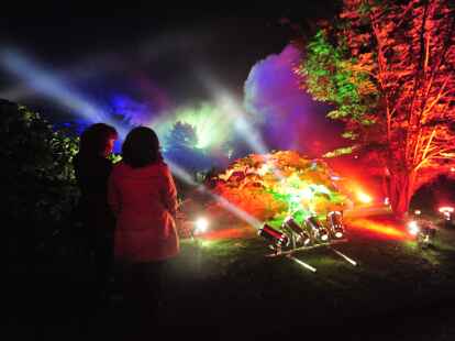 Mystische Nächte im Park der Gärten