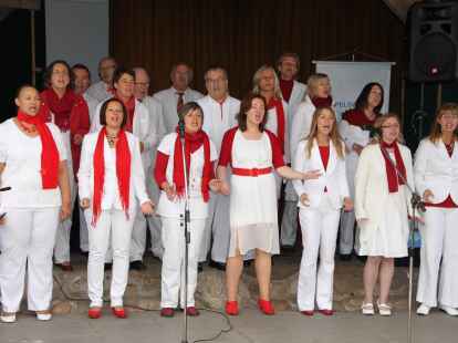Viel los war wieder beim Hoy-Fest in Hoykenkamp. Die Bremer Gospel-Swingers sangen