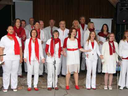 Viel los war wieder beim Hoy-Fest in Hoykenkamp. Die Bremer Gospel-Swingers sangen