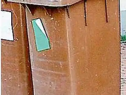 <p>Frostgefahr: Die Biotonne sollte an einem gesch&uuml;tzten Ort stehen.</p>