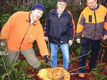 Harald Heilmann, Gottlieb Behmann und Andreas Bruns (von links) begutachten eine beim Sturm umgest&uuml;rzte Fichte, die bereits krank war.