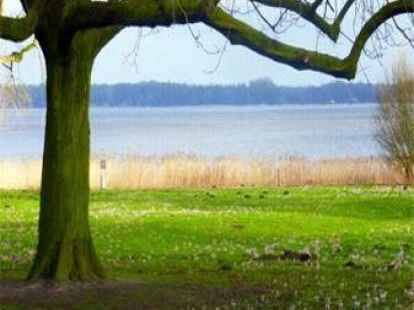 <p>        ....der konnte sich &uuml;ber einen Blick aufs ruhige Zwischenahner Meer freuen. Was Eberhard Unruh sonst noch so auf seiner Suche gesehen hat, k&ouml;nnen Sie auf mein-bad-zwischenahn.de betrachten.     </p>