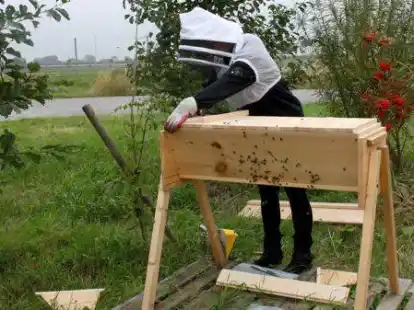 Ein Imker kontrolliert  in Emden   ein Bienenvolk, das auf dem Gel&auml;nde der Volkswagen AG aufgestellt ist.