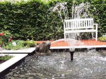 Dieser Frosch f&uuml;hlt sich pudelnass nat&uuml;rlich pudelwohl. Er sitzt an seinem Teich in der Haarenstra&szlig;e und freut sich &uuml;ber alle Besucher, die sich die wundersch&ouml;nen G&auml;rten ansehen.