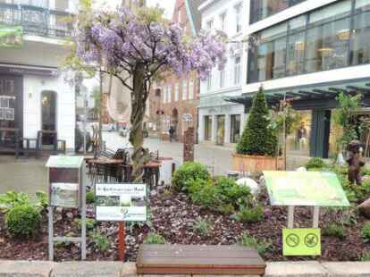 Auch N@chbarin Waltraud Buss lie&szlig; sich nicht von den Wolken abschrecken und machte Fotos von den Stadtg&auml;rten. Dieses Beet am Leffers-Eck bl&uuml;ht und gr&uuml;nt und verbreitet trotz des Regens Fr&uuml;hlingsstimmung.