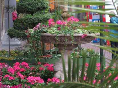 <p>        Die Landschaft haben auch unsere N@chbarn Werner und Irmtraut Fuhlrott bestaunt &ndash; allerdings in Oldenburg. Trotz des Regens am Wochenende trauten sie sich aus dem Haus und schauten sich begeistert die gerade er&ouml;ffneten Stadtg&auml;rten an. Dieser Traum in pink schm&uuml;ckt den Eingang der Schlossh&ouml;fe am Marktplatz. Viele tolle Fotos der Bl&uuml;tentr&auml;ume wurden auf www.mein-oldenburg.de  hochgeladen.    </p>