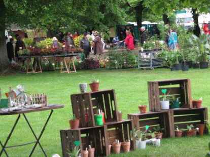 <p>        Die Besucher konnten sowohl gro&szlig;e als auch kleine ausgestellte Pflanzen aller Art anschauen, und auch interessante Dekorationsideen durften nicht fehlen. Auf www.mein-oldenburg.de  kann man auch diese G&auml;rten ansehen.    </p>